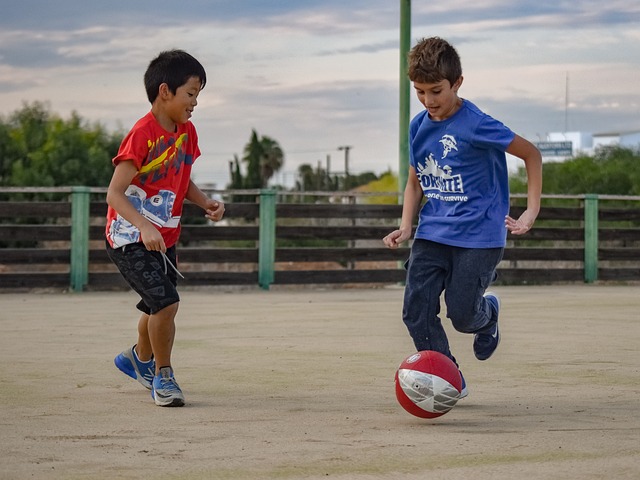综合实力的 综合实力的