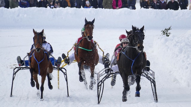 巴林VS中国，首发出炉--韦世豪，张玉宁，拜合拉木领衔出战.