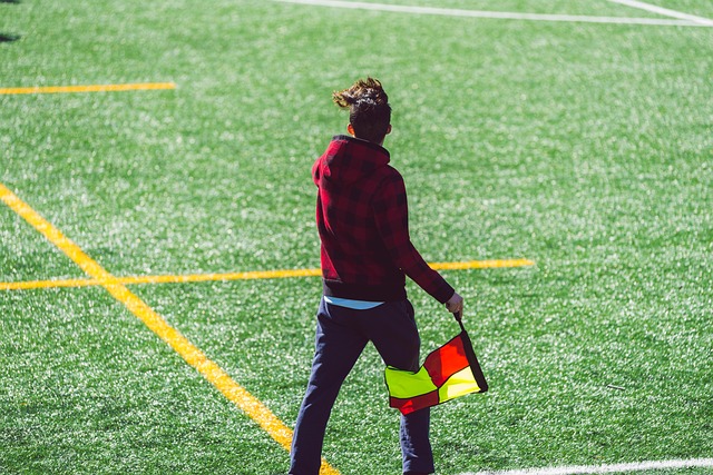 球队树立了 球队树立了