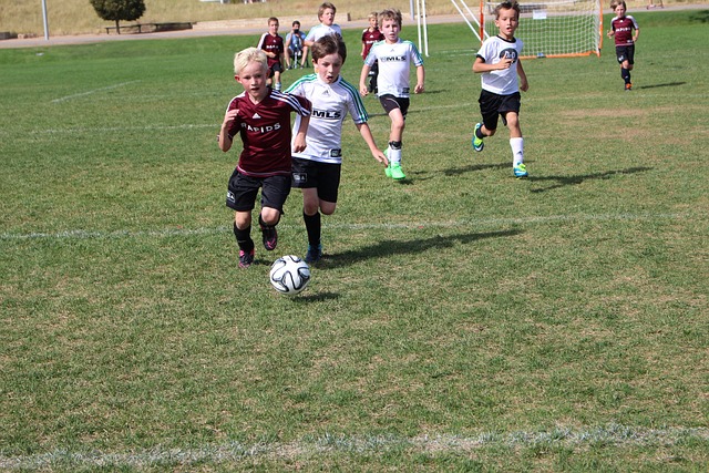 亚冠二级联 亚冠二级联