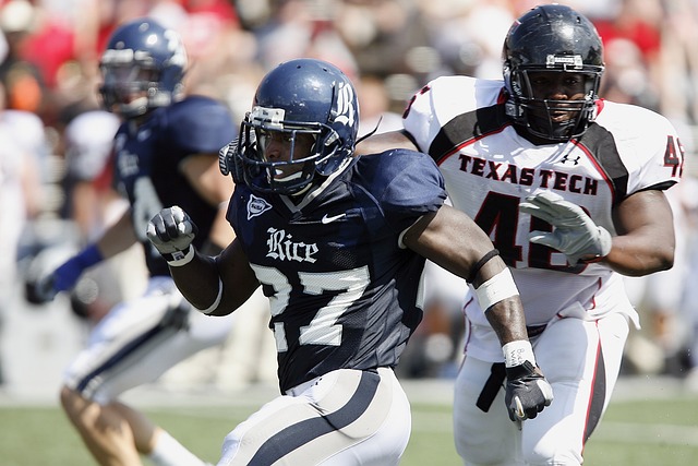 以智慧和体 以智慧和体